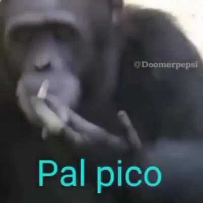 😔