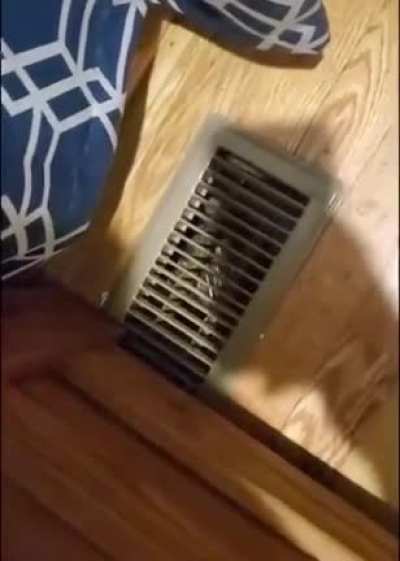 cursed_movement