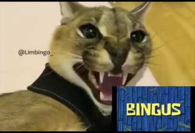 this is so me UmU