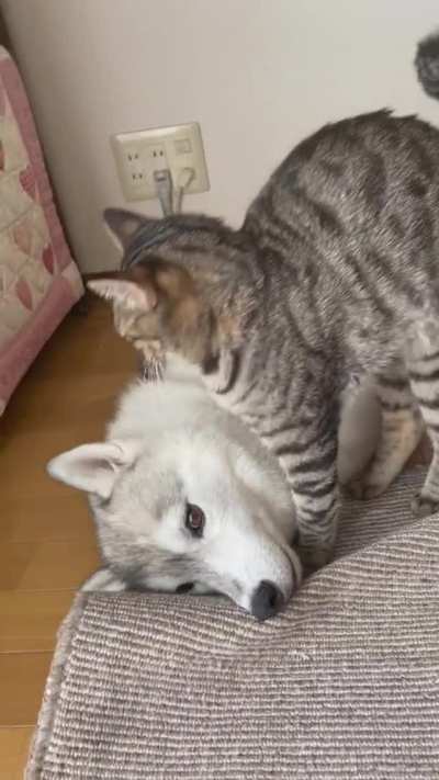 time to love