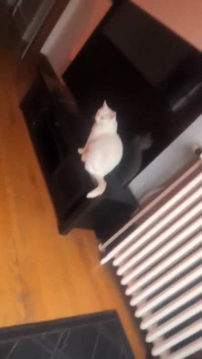A nice chair fart by the windo<wbr>w.🥰💨