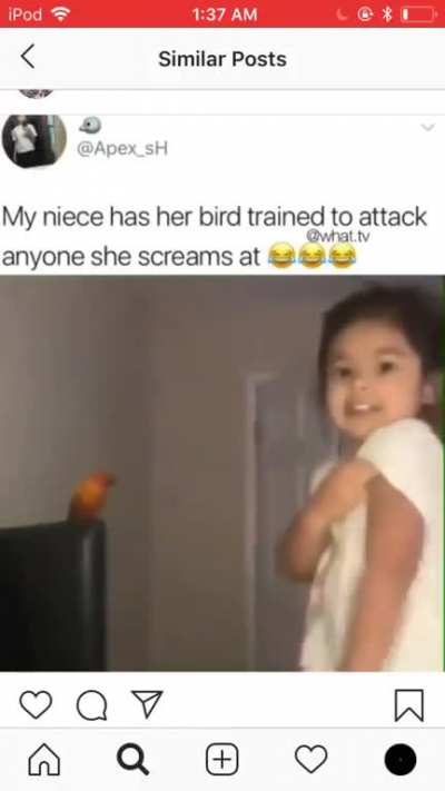 Need to teach my pet to do that