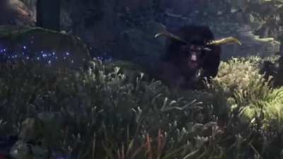 monster Hunter