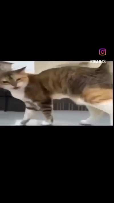 Wa-