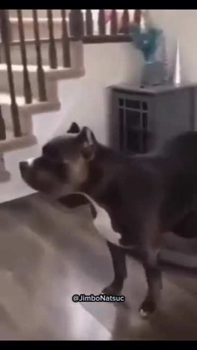 bad bad bad bad wunker