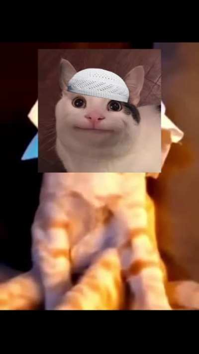 Halal 😺😺😺 Cat® Bruh nigga Free Punjabi Sex No virus hindi audio dewar bhabhi 😅😅😅😅😅<wbr>👍👍👍😍😍<wbr>😲😲😲