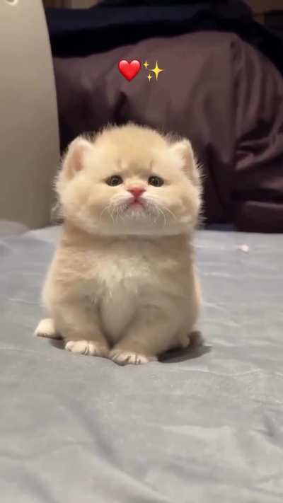 Awww .. So Cute