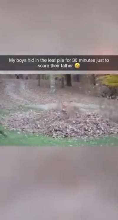 Silly boys almost got their father a heart attack
