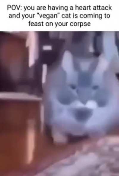 .-.