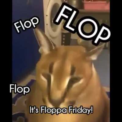 It's that day again