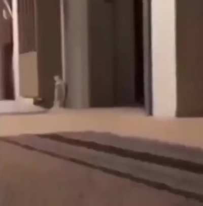 I don’t know what to put here