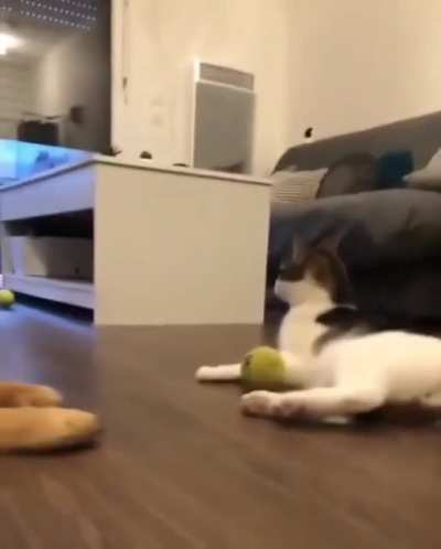 This is mine!! Not yours!