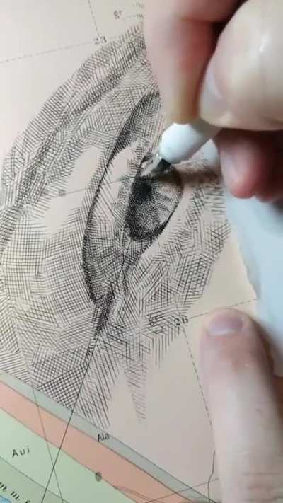 This detailed intricate map