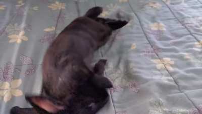 Slow-mo flop!