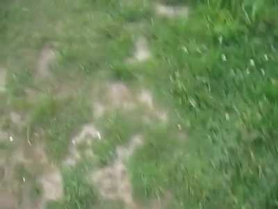 WCGW Killing Moles With Propane?