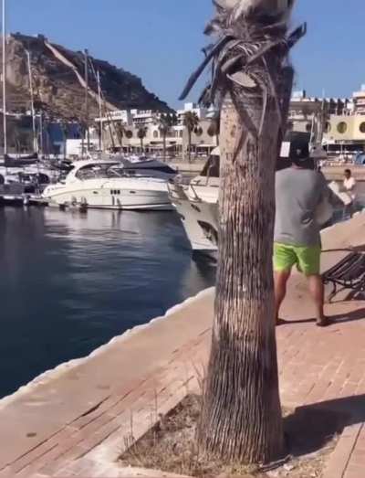 Perfect parking (Alicante, Spain)