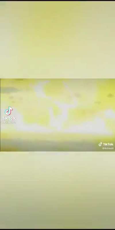 Cat titan.tiktok:@sakuata