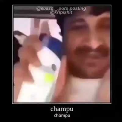 champu