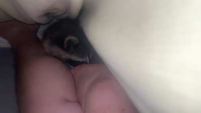 Toe bandit
