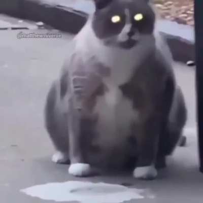 wordron CHONLk!!
