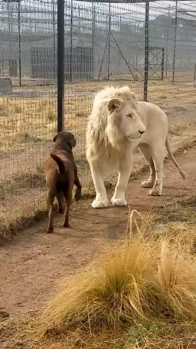 best friends
