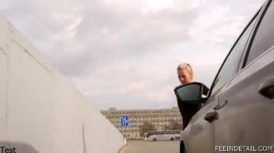 Skateboarding II - Lenka Vyskocilova & Alena Valkova (PeeInDetail)