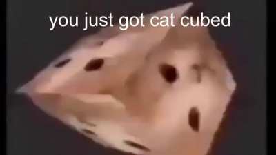 as usual, here's my trash meme