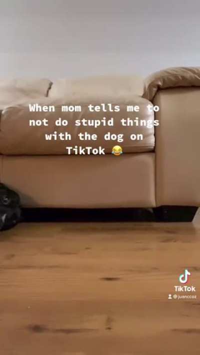 When mom tells me not to do stupid things with the dog on TikTok.