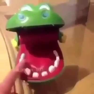 crocodile!!
