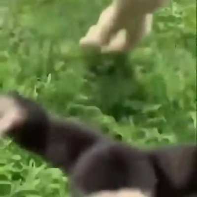 Yumi and Lu Tian when they see each other again