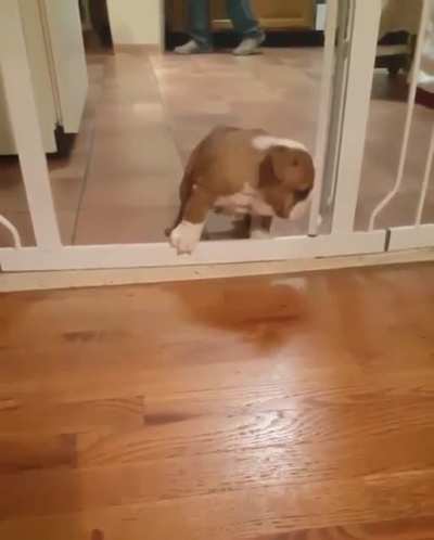 A true leap of faith