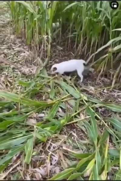 Wunk LOVES nature! 