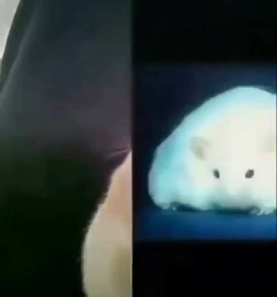 rät