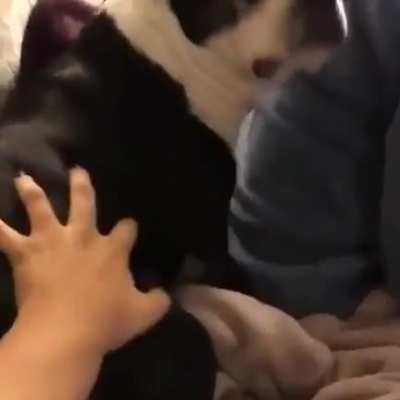 Screaming doggo