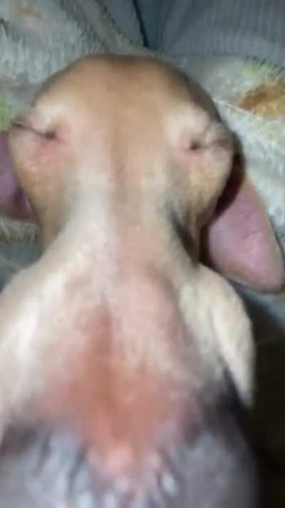 😁