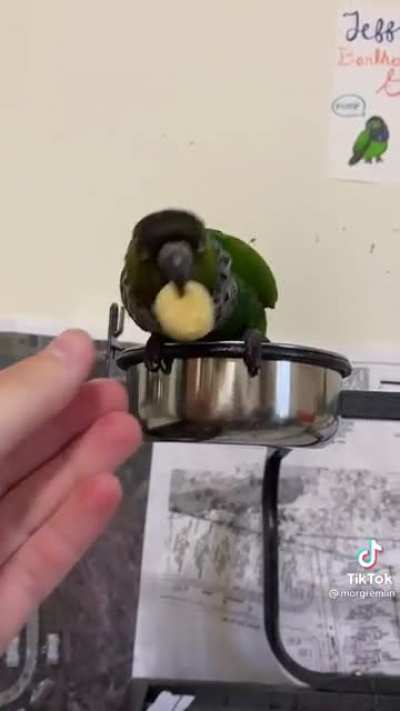 Pancake party!