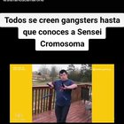 Se le ve bien ninja