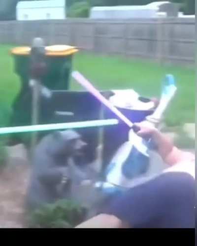 A Jedi vs a Sith