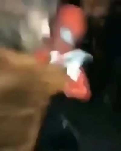 a luta mais épica do mundo