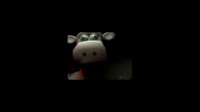 the cow is coming