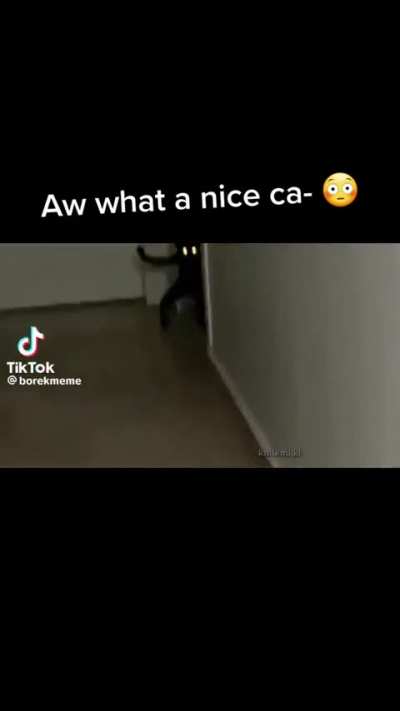Aw.. What a Nice ca-.. Wtf