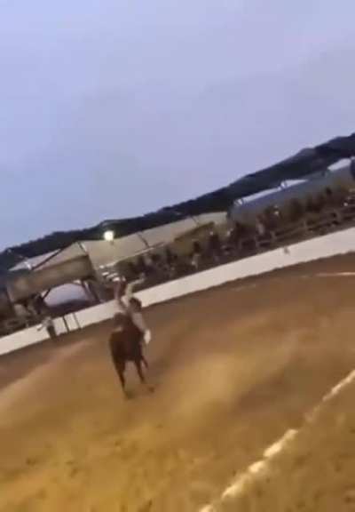 Motherf*cke slammed a horse