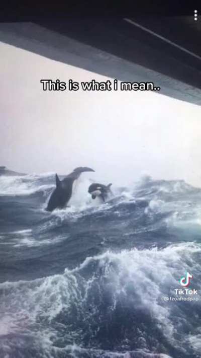 Pretty accurate description of the fear for me