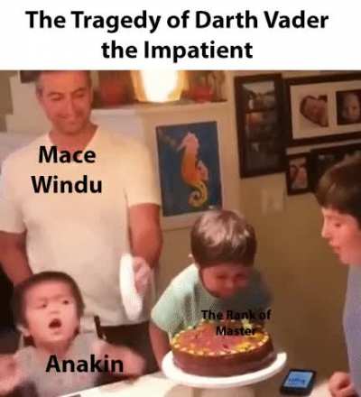 Did you ever heard the Tragedy of Darth Vader?