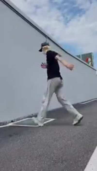 Nice flips