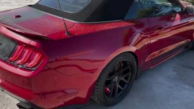 Abandoned Super Snake…WTF?
