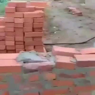 Drunk construction workers