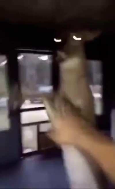 An interesting title