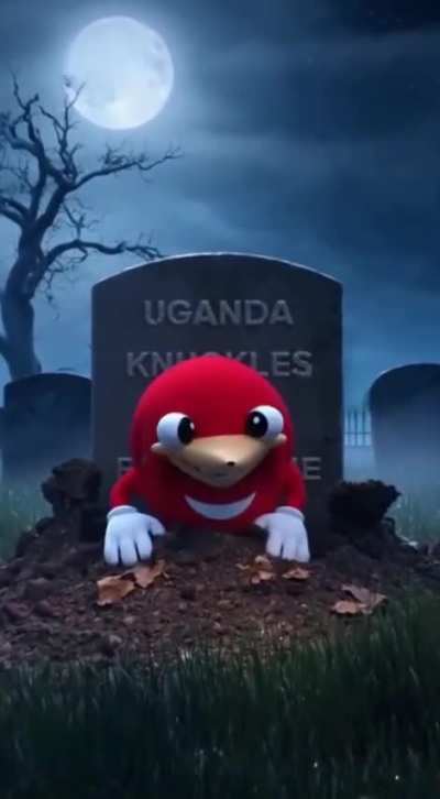 Still Alive in 2025