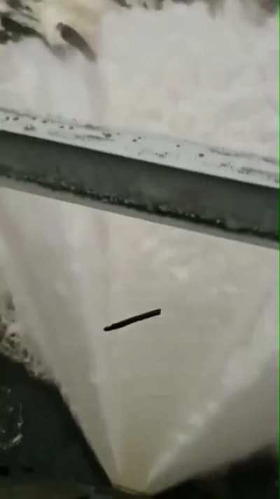 Раств<wbr>орило<wbr>сь